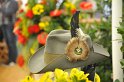 Montag mit Spass 0090